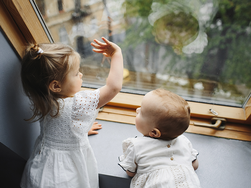 The Best Windows for Your Climate: A Guide to Energy Efficiency and Comfort